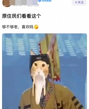 游侠网5